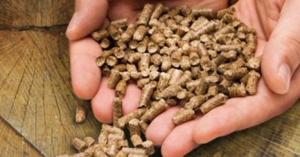 تصویر 1 از کود مرغی پلیت با آزادسازی تدریجی